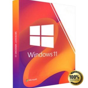 Windows 11 Professional 32/64 bit (Product Key)